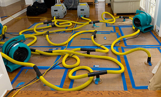 Professional Crawl Space Water Removal technician working in Elkton, OH